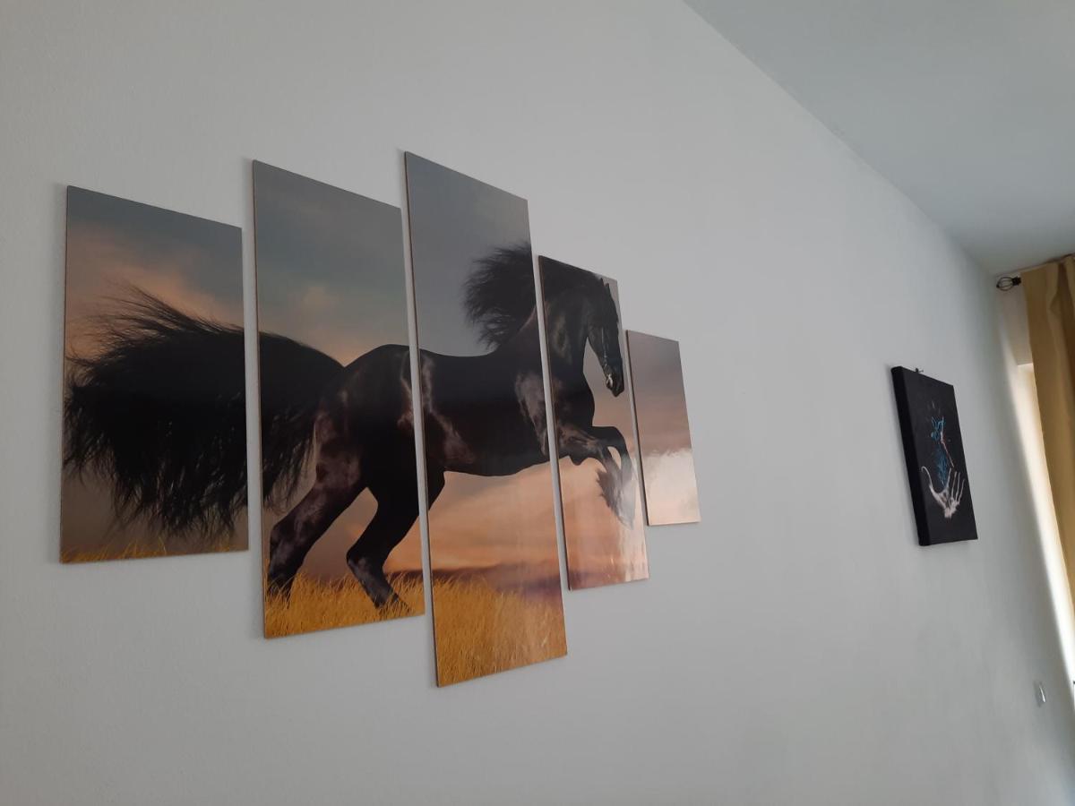 Apartament Erika סינאיה מראה חיצוני תמונה