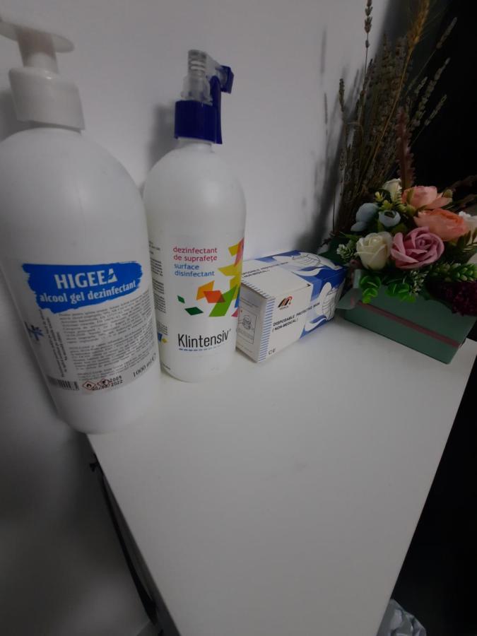 Apartament Erika סינאיה מראה חיצוני תמונה