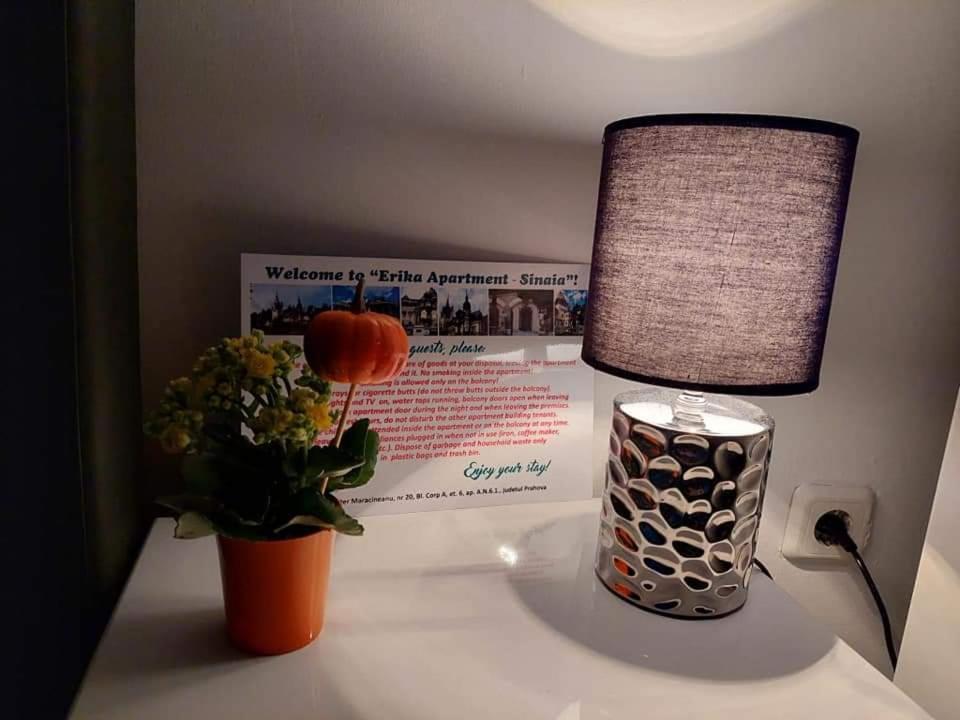 Apartament Erika סינאיה מראה חיצוני תמונה